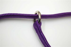 Purple Gun Dog Slip Ring